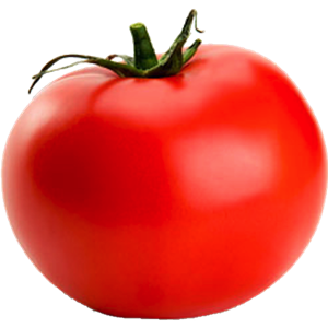 Tomato PNG-12511